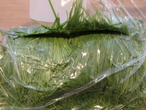 wheatgrass-bag